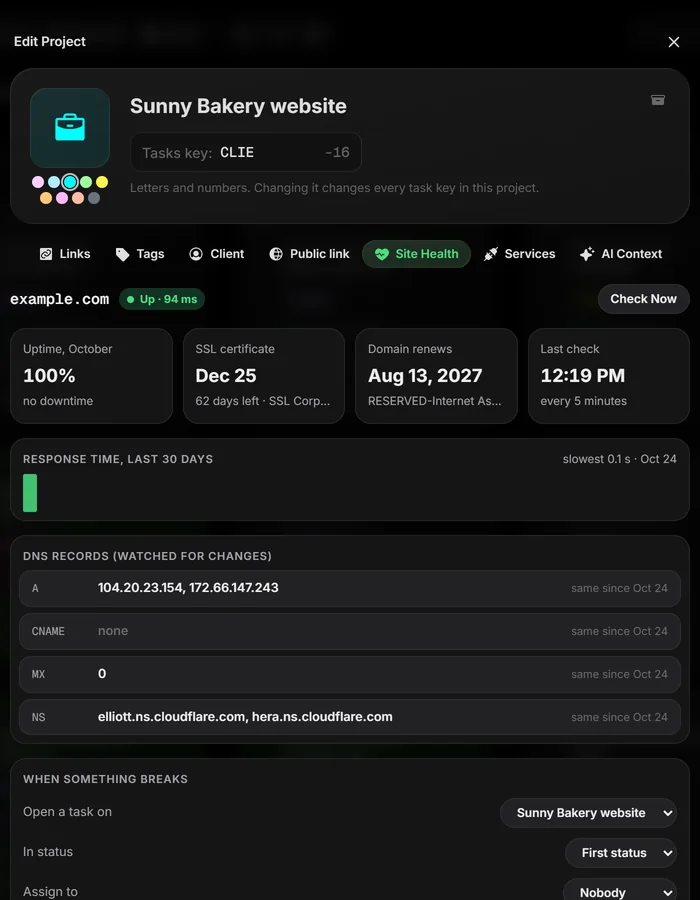 Edit Project, Site Health tab, with uptime, SSL, domain renewal and DNS records